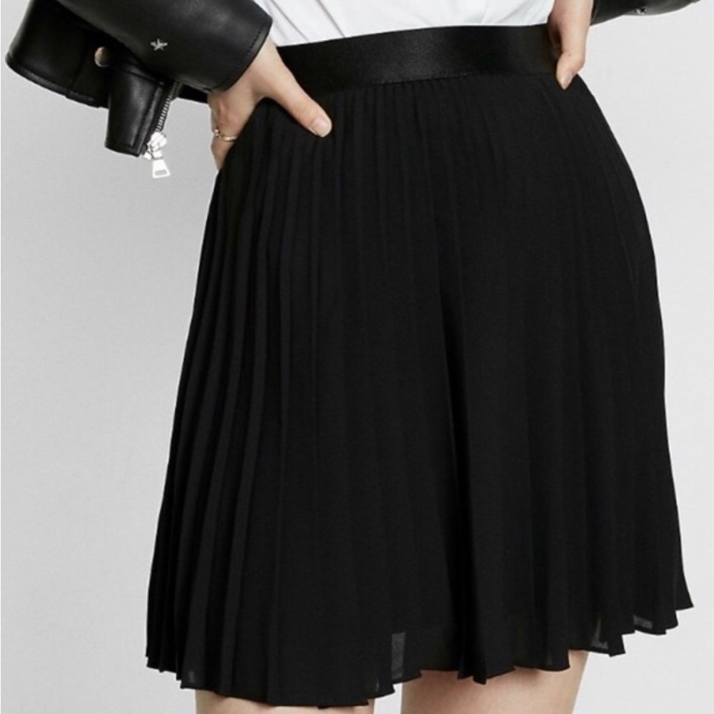 Express Pleated Skirt Size Small